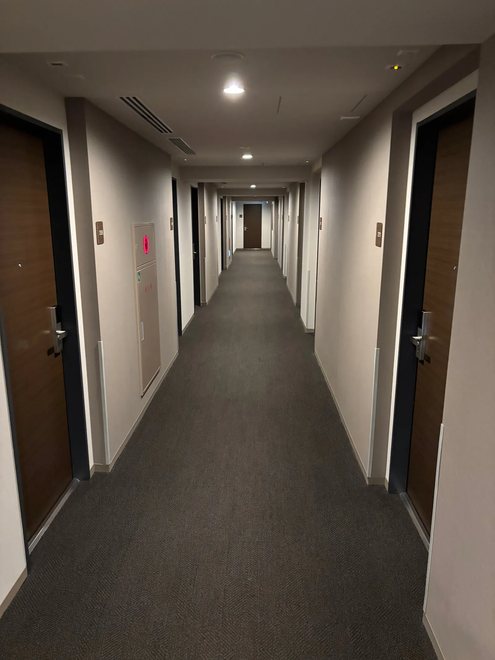 客室階の廊下。奥まで扉が並ぶ、落ち着いた色合いの通路